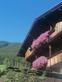 Ferienwohnungen Hacklstoana Alpbach